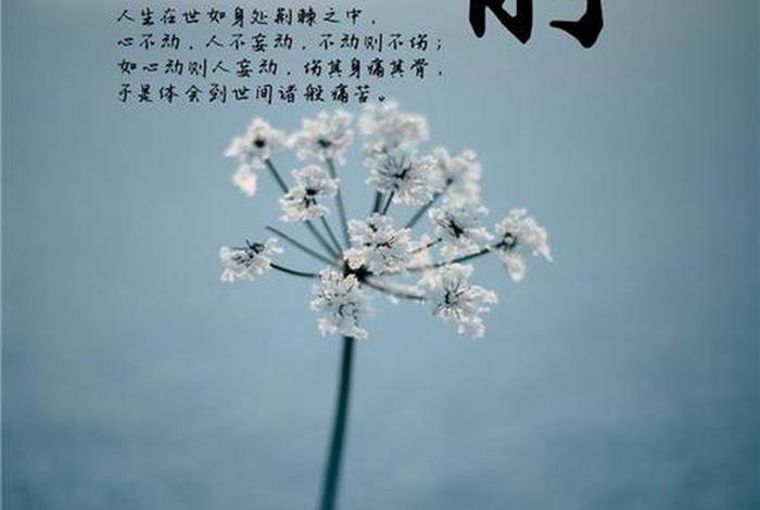 10个佛学禅语；佛教禅语录