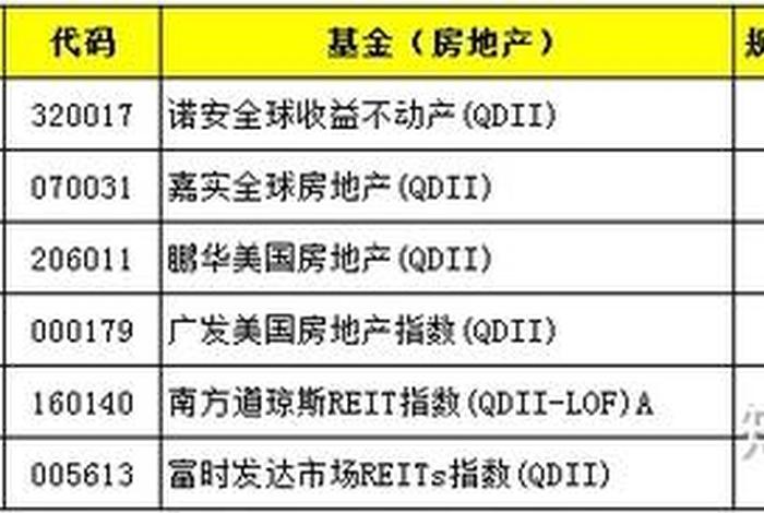 国际投资有哪些基金，国际投资基金是( )