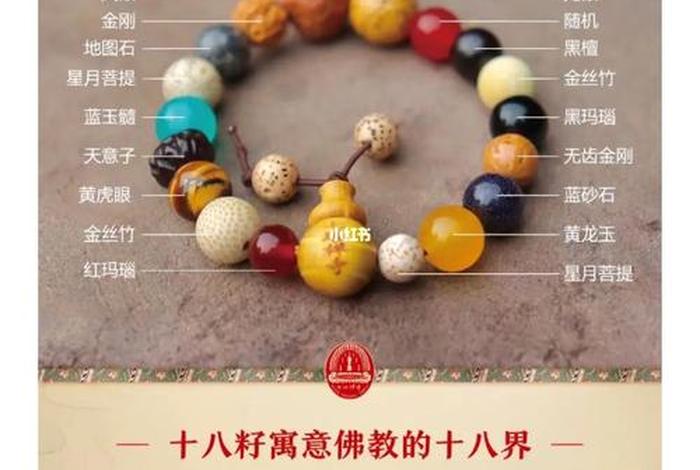 佛教六根六识六尘（佛教中六根六尘六识）