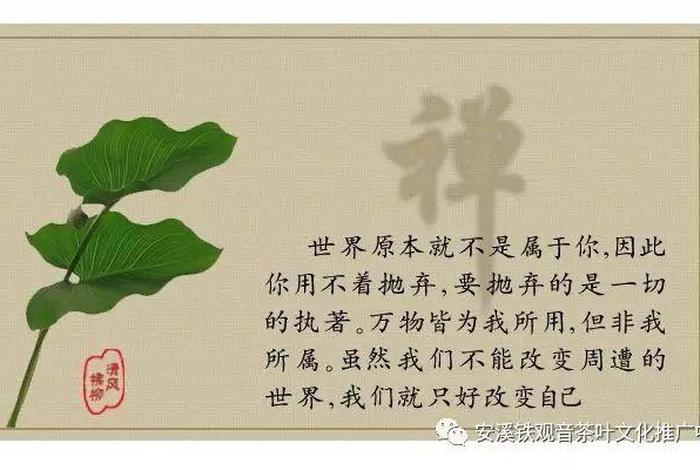 佛教思想的精髓是什么（佛教思想的精髓是什么意思）