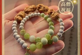 佛教四大菩提你不知道的知识视频播放、佛教四大菩提你不知道的知识视频播放下载