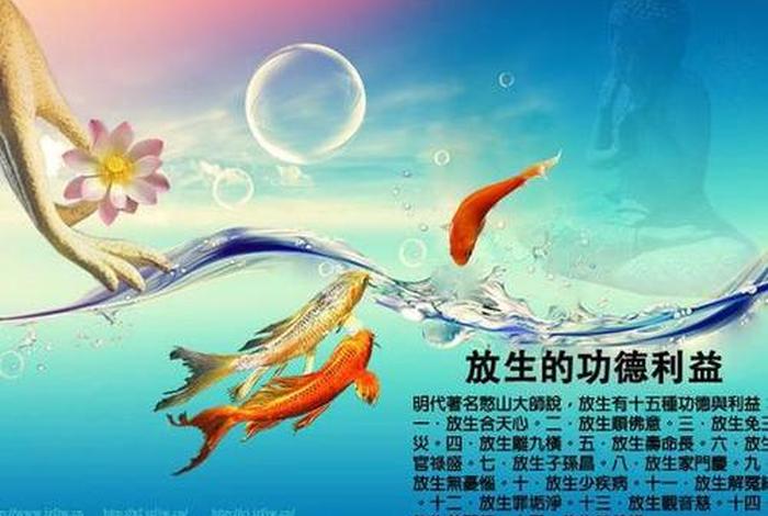 放生佛教怎么说、放生在佛教的由来