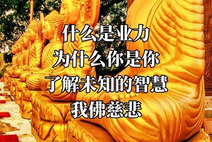 到底什么是业力，“业力”是怎么形成的？