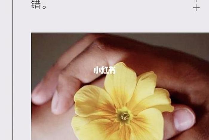 佛教如何消除自己犯下的过错，佛教对有过错的人如何