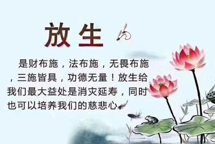 学佛常见误区放生（佛学放生的功德）