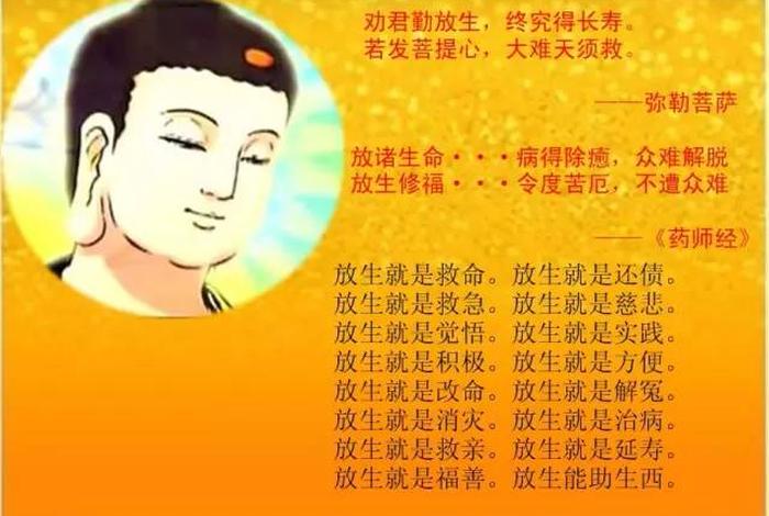 印经书和放生哪个功德大（助印经书和放生的功德）