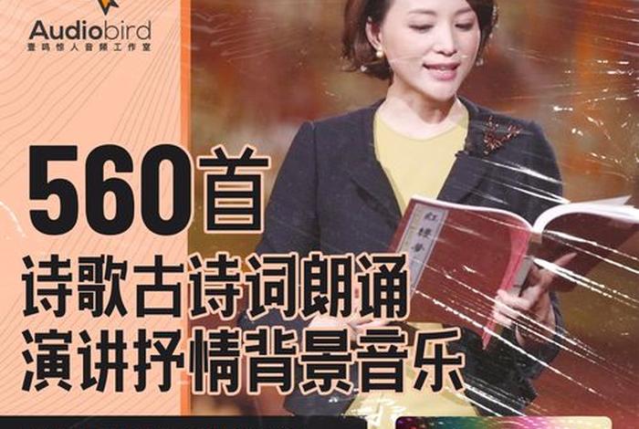 知识分享轻音乐，知识讲解类bgm