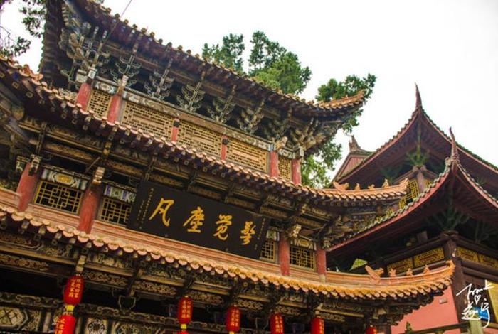 阐述遂宁佛教文化知识有哪些（遂宁佛学院）
