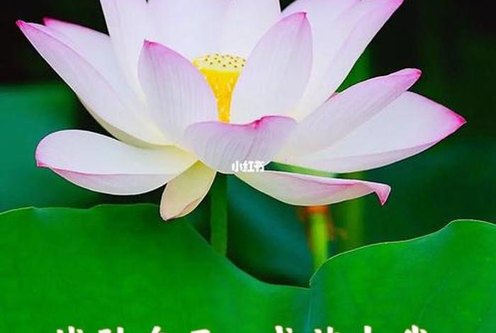 人生无常佛教、人生无常 佛