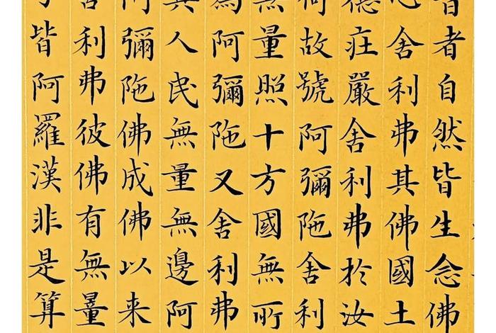 无量寿经讲解粤语（无量寿经讲解粤语视频）