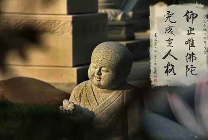 为什么人不能学佛教知识呢；为什么有些学佛的人反而不顺