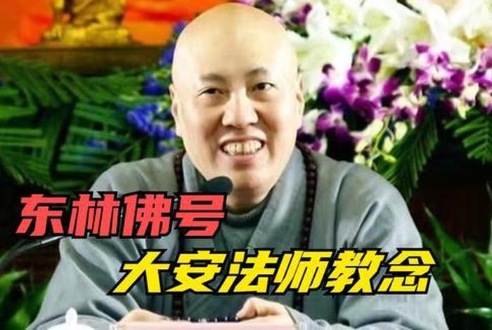大安法师讲佛号 - 大安法师讲佛号视频