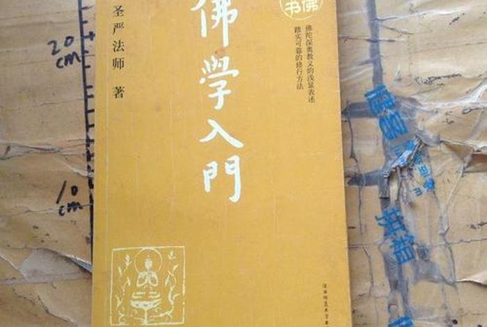初学佛学入门视频 初步学佛教程