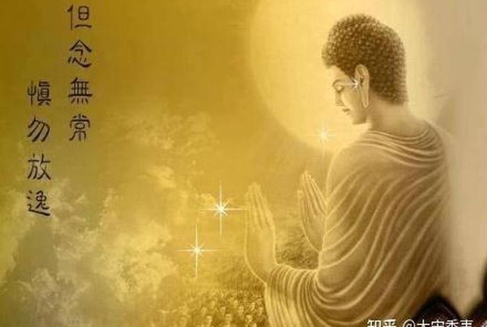 在家人可以传佛教知识吗知乎，在家人可以传佛教知识吗知乎文章