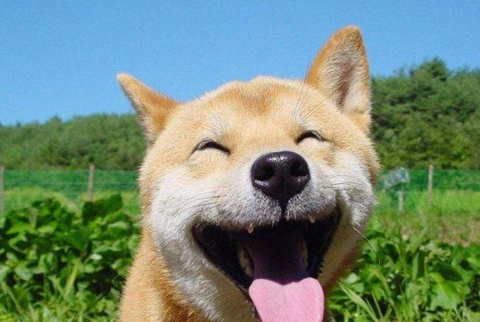 为什么礼佛会情不自禁哭的很冤、为什么礼佛会情不自禁哭的很冤枉