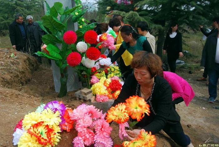 墓前放什么花好（墓前种花种什么讲究）