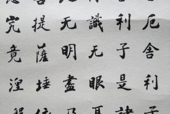 佛教念诵集 赵朴初 佛教常识 赵朴初