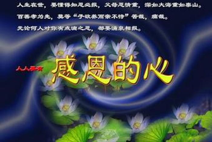 佛教感恩粤语；佛教歌感恩