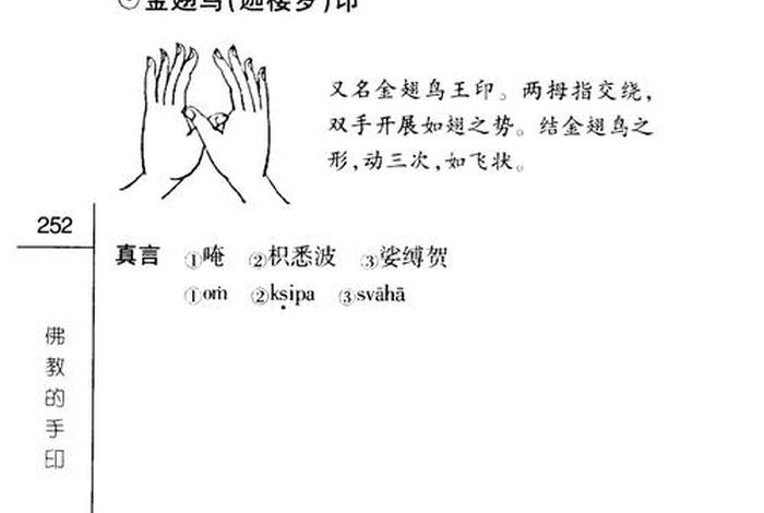 佛印的理解 - 佛印的介绍