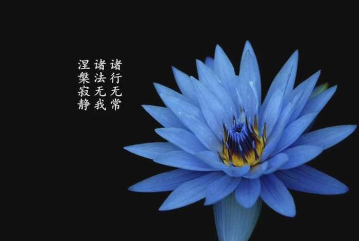 佛教无常的真正含义 - 佛教中无常是什么意思啊