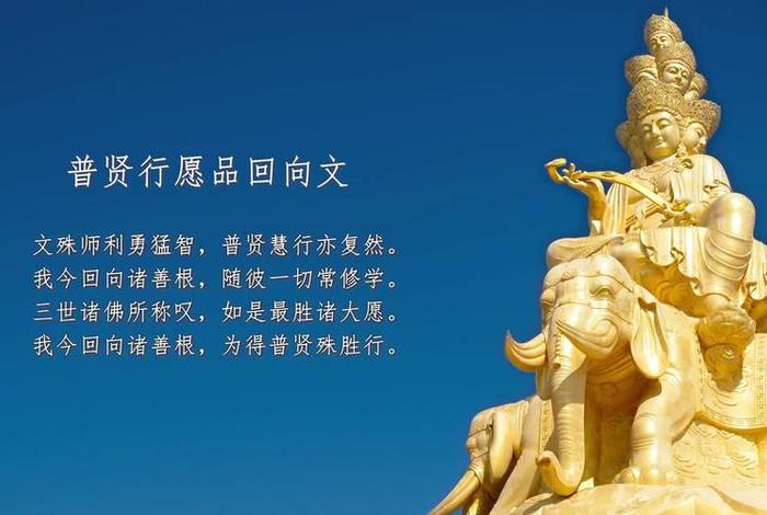 佛教文化传统视频（佛教的视频）