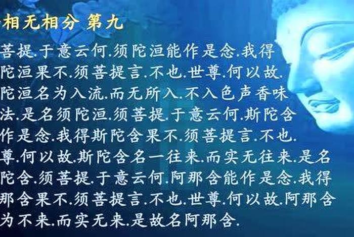 佛学大师讲座金刚经，佛学大师讲座金刚经视频