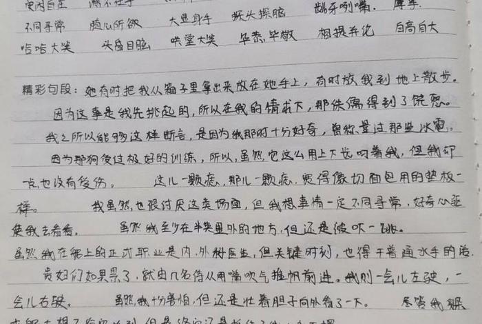 佛教笔记 - 佛教笔记图片
