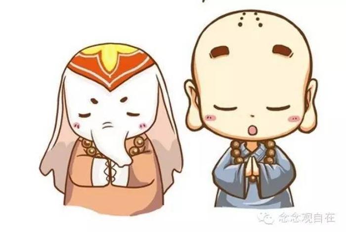 漫画讲解佛教小知识大全，漫画讲解佛教小知识大全视频