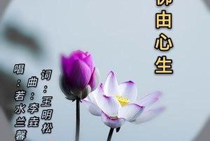 佛教渡心视频 佛教渡心视频大全