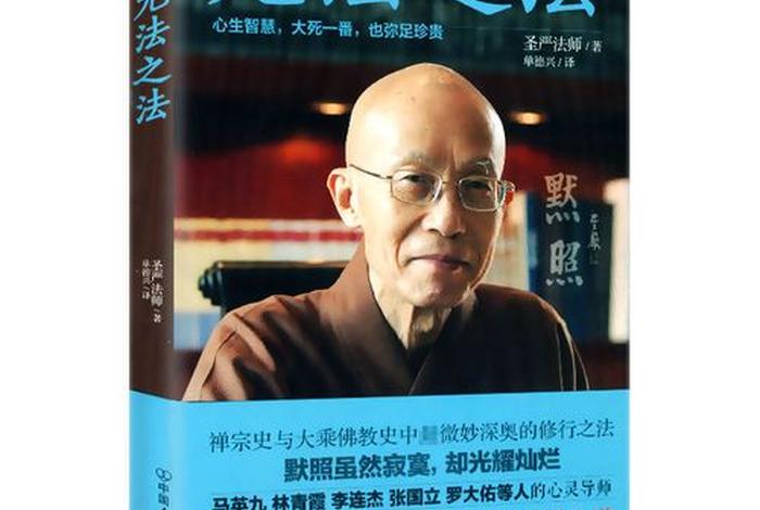 成庆佛学入门四十讲 成庆讲的佛教的智慧世界