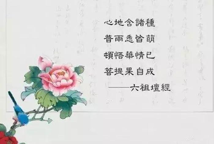 佛法中自性是什么意思、啥叫自性佛