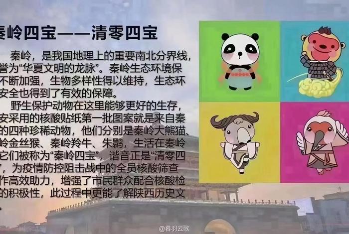 陕西文化知识（陕西文化传承）