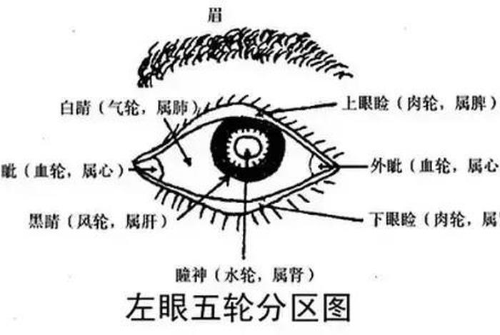 佛教五眼的知识是什么、佛学五眼在事业中的运用
