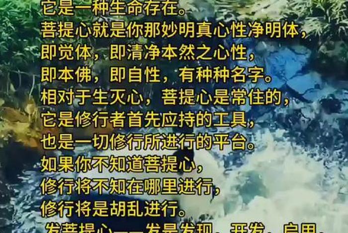 佛教说的发菩提心（发菩提心的十种因缘）