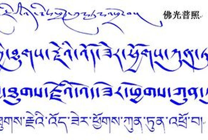 藏文佛教知识有哪些内容（藏文佛教知识有哪些内容呢）