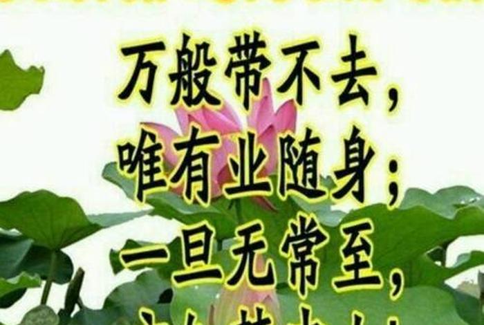 佛教祈祷咒语、佛教祈祷的句子 经典语录