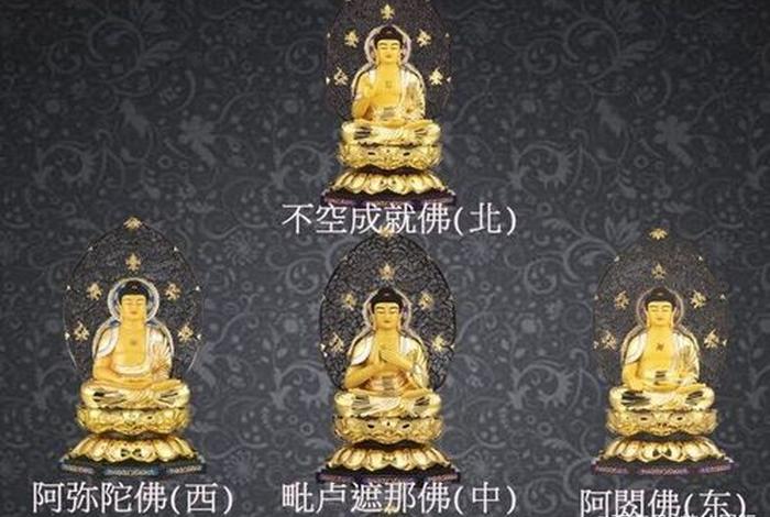 佛教五根（佛教五根五力）