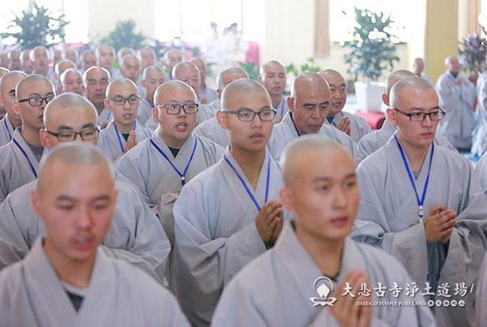 大悲古寺度一法师介绍 - 大悲古寺师父