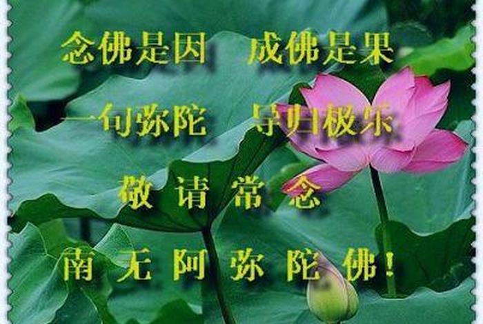 念佛的科学解释；念佛是念什么内容