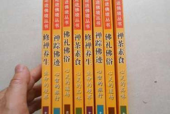 走近佛教有声书（走进佛学）