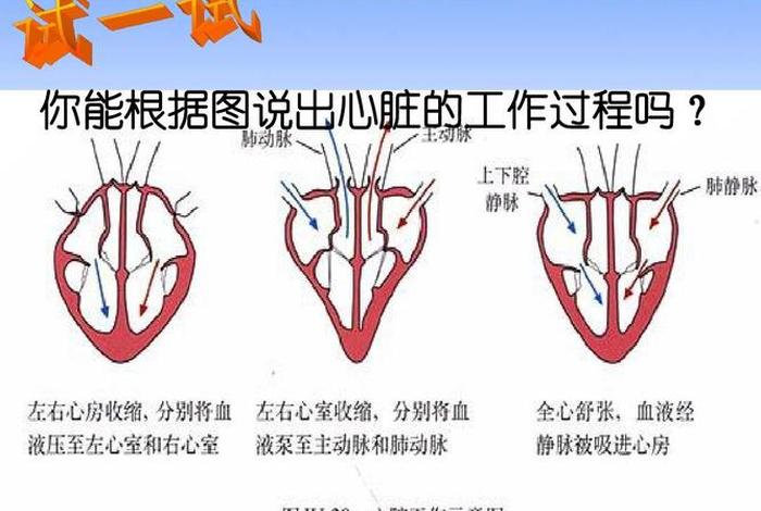 心轮为什么会堵 心轮为什么会堵塞