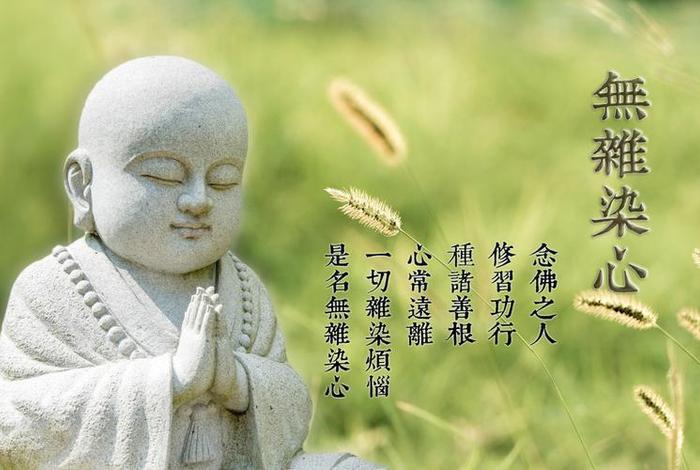 每日一禅视频全集 每日一禅经典最新