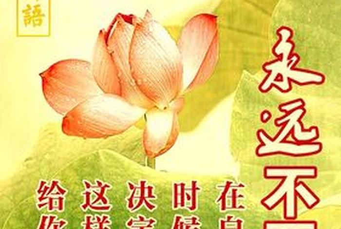 经典佛教图片、经典佛言佛语图片