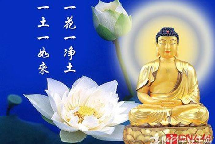 佛教哲学知乎 - 《佛教哲学》