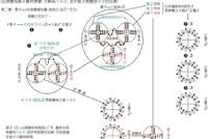 佛教知识植物和基本粒子的关系（佛教知识植物和基本粒子的关系是）
