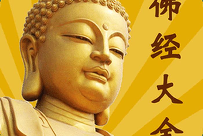 专门看佛教视频的软件（能看佛教节目的电视软件）