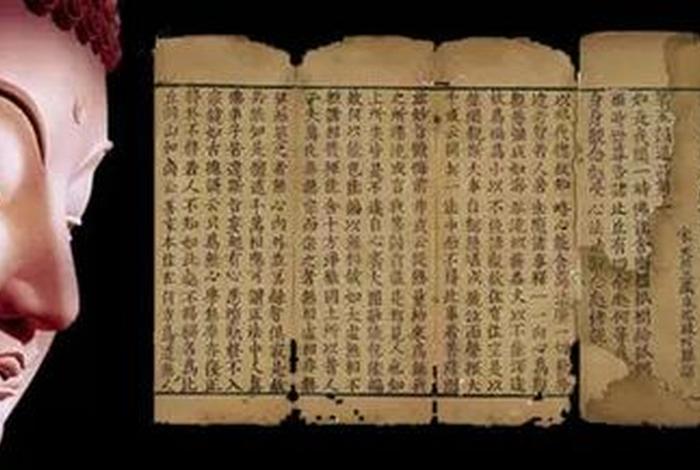 佛教文学健康方面的知识点；佛学文学