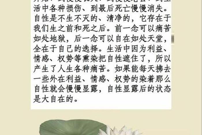佛教自性和本体是什么意思（佛教所说的自性怎样理解）