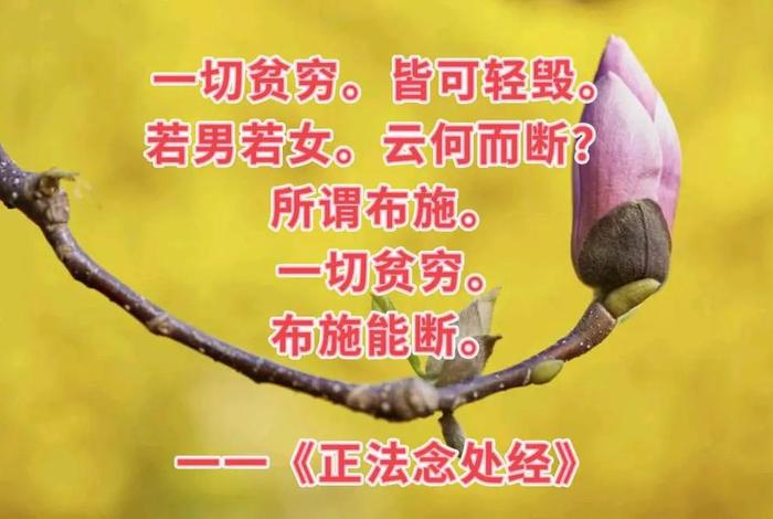 佛教有三种布施，佛教三种布施的果报