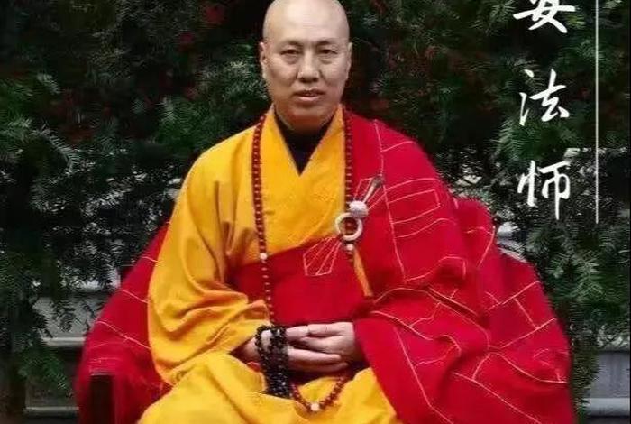 佛教大安法师，佛教大安法师讲阿弥陀经视频全集